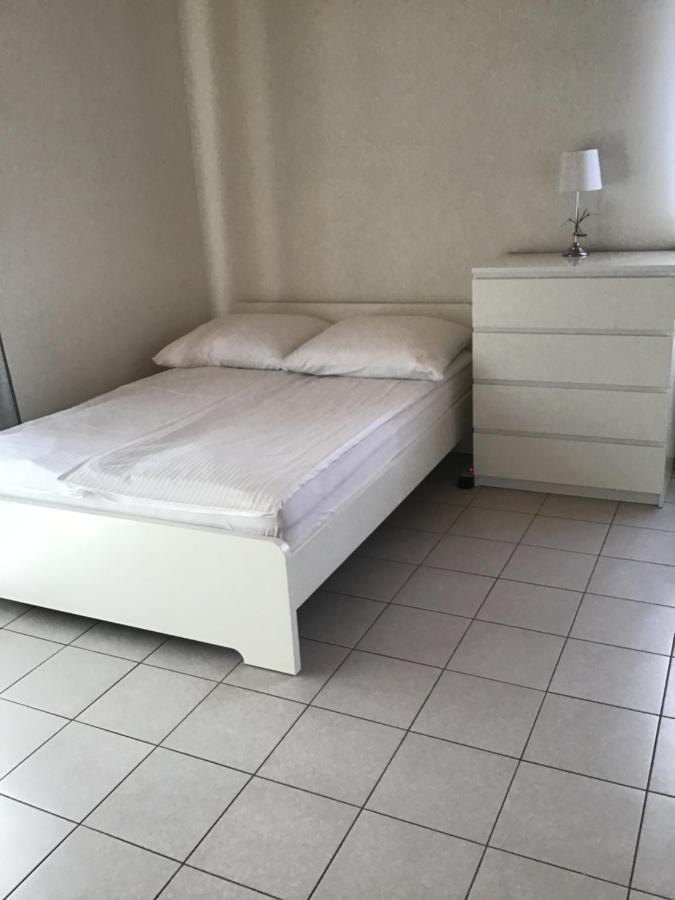 Agroturystyka Krajno - Zagorze Homestay *